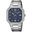 Casio MTP-B195D-2AVDF Erkek Kol Saati