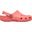 Crocs Classic Clog 10001-6UI Mercan Unisex Terlik
