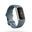 Fitbit Charge 5 Mavi Platin Akıllı Bileklik