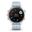 Garmin Fenix 5S Plus Deniz Köpüğü Akıllı Saat