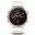 Garmin Fenix 5S Plus Sapphire Rose Gold Akıllı Saat