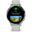 Garmin Venu 3S Gümüş Gri Akıllı Saat