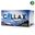 İntraline Collax Collagen 2x30 Flakon