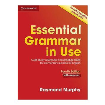 essential grammar in use 5th edition