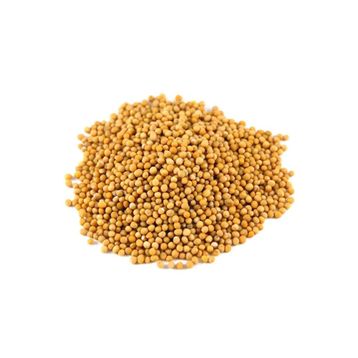1 kg 1. Kalite Sarı Hardal Tohumu