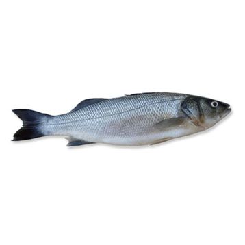 1 kg 300-400 Levrek