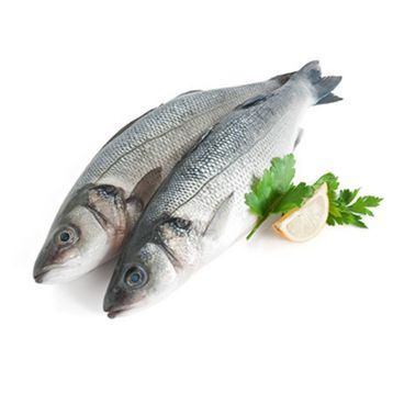 1 kg 300-400 Levrek