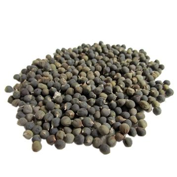 1 kg Bamya Tohumu