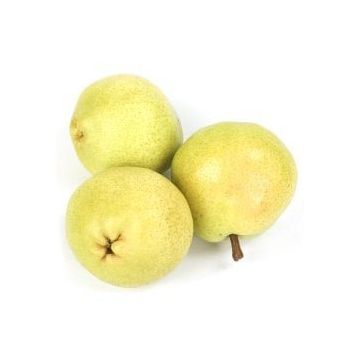 1 kg Deveci Armut