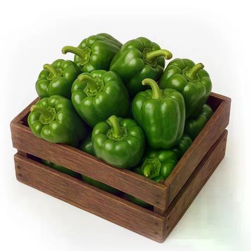 1 kg Dolma Biber