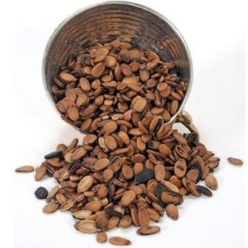 1 kg Karpuz Çekirdeği