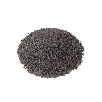 1 kg Siyah Hardal Tohumu