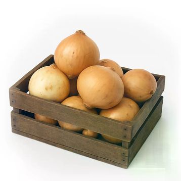 1 kg Soğan