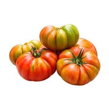 1 kg Yerli Domates