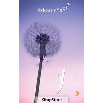 1 - Özkan Cengiz