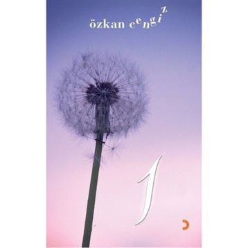 1 - Özkan Cengiz