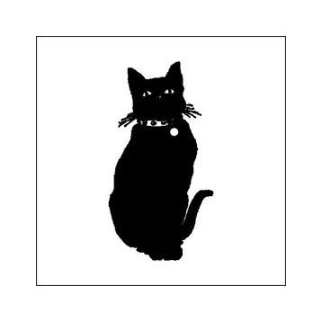 100 cm Siyah Kedi Folyo Sticker