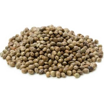 100 gr Kendir Tohumu