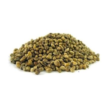 100 gr Kendir Tohumu