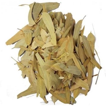 100 GR Okaliptüs Yaprağı