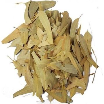 100 GR Okaliptüs Yaprağı