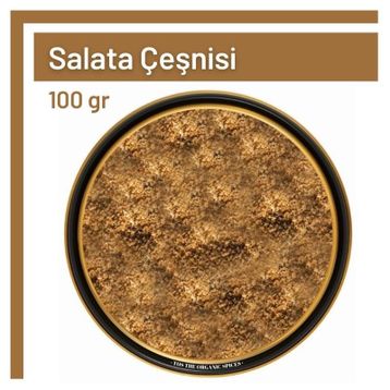 100 gr Salata Çeşnisi