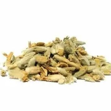100 gr Sarı Ballı Baba