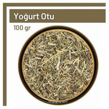 100 gr Yoğurt Otu