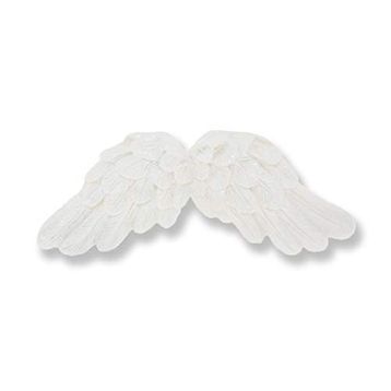 12 Adet Melek Kanadı Biblo