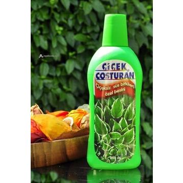 1200 ml Çiçeksiz Süs Bitkileri İçin Çiçek Coşturan