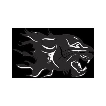 130 cm Aslan 11 Folyo Sticker