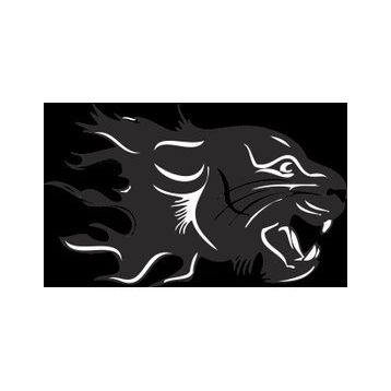 130 cm Aslan 11 Folyo Sticker