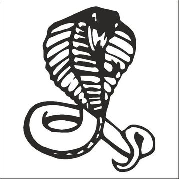 130 cm Cobra Folyo Sticker