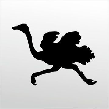 130 cm Deve Kuşu Folyo Sticker