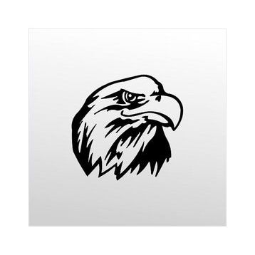 130 cm Kartal Folyo Sticker