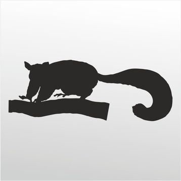 130 cm Kokarca Folyo Sticker