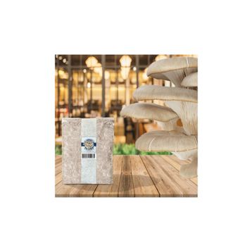 2 kg İstiridye Mantarı Tohumu