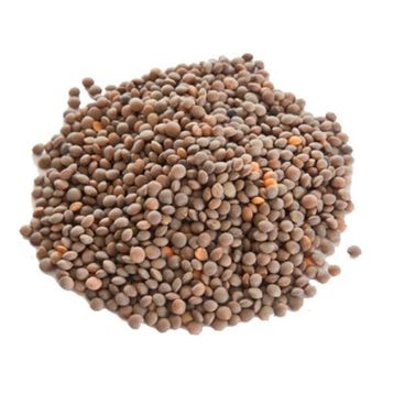 2 kg Siyah Mercimek