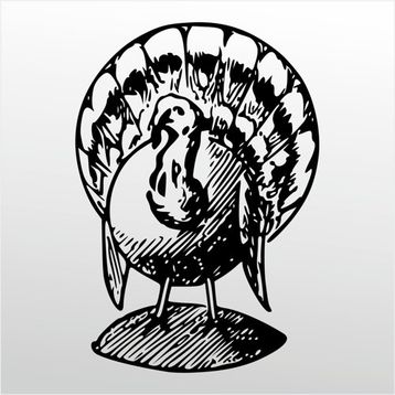 20 cm Hindi Folyo Sticker