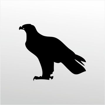20 cm Kartal Folyo Sticker