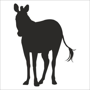 20 cm Zebra Folyo Sticker