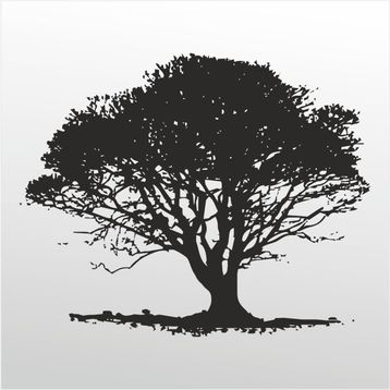 200 cm Ağaç Folyo Sticker