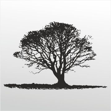 200 cm Ağaç Folyo Sticker