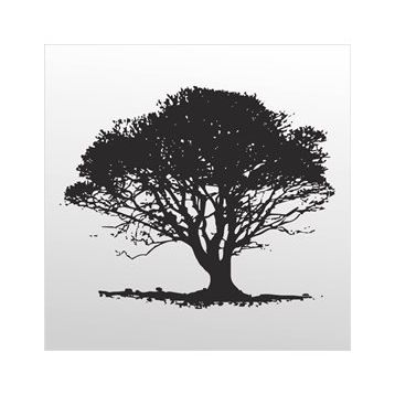 200 cm Ağaç Folyo Sticker