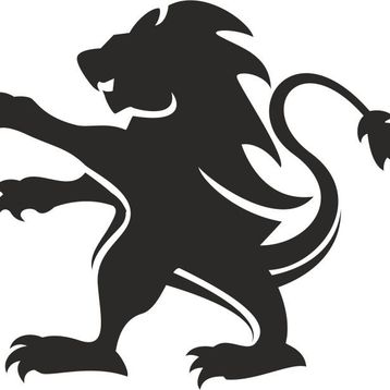 200 cm Aslan 10 Folyo Sticker