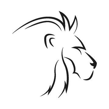 200 cm Aslan 5 Folyo Sticker