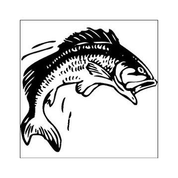 200 cm Balık Folyo Sticker