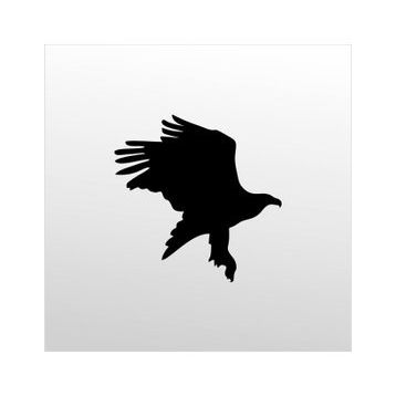 200 cm Kartal Folyo Sticker