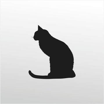 200 cm Kedi Folyo Sticker