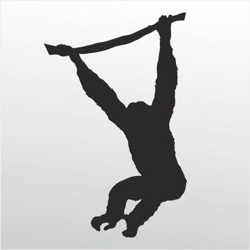 200 cm Maymun Folyo Sticker